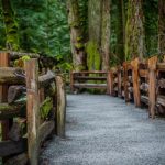 2011 POWER OF ATTORNEY CHANGES